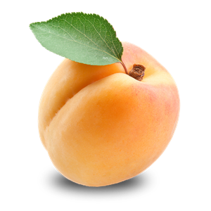 Apricot PNG-12652